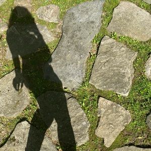 Meet your Posher, Dot